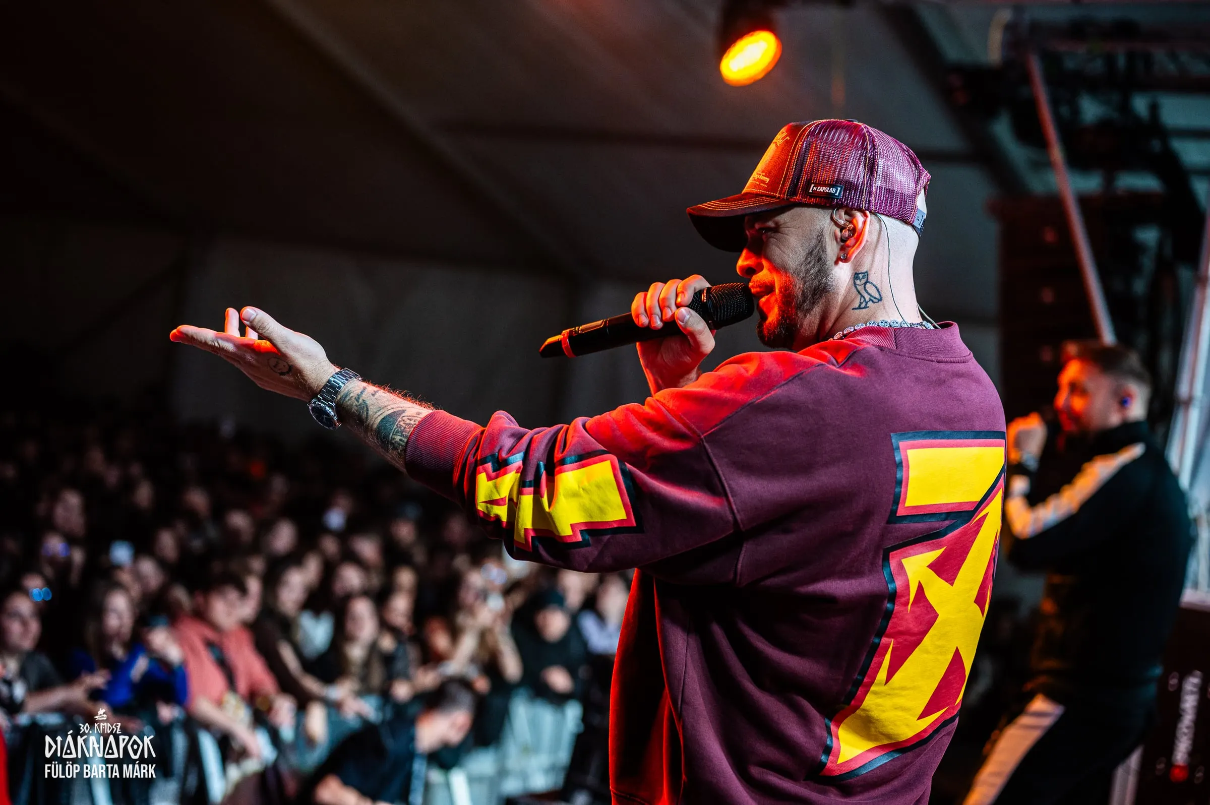 Artist cântând live pe scenă · Festivaluri · FBMark Events